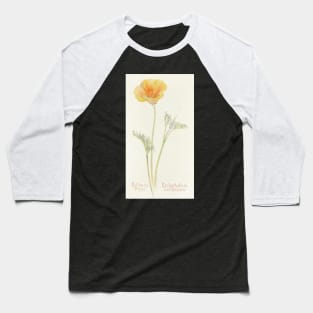 California Poppy - Botanical Illustration Baseball T-Shirt